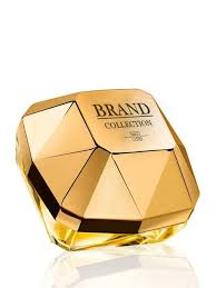Brand Collection Masculino